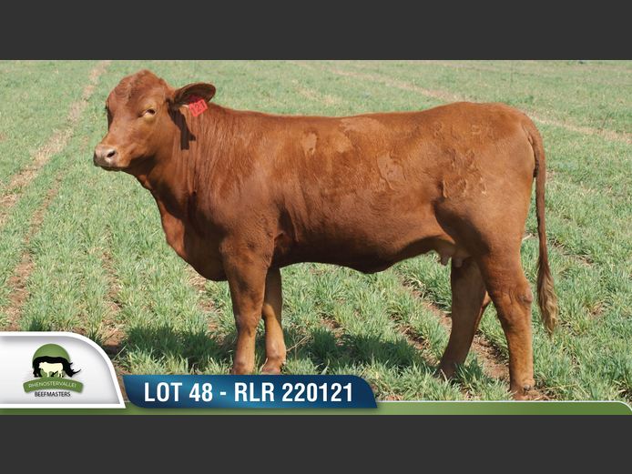 RLR 220121 | RHENOSTERVALLEI