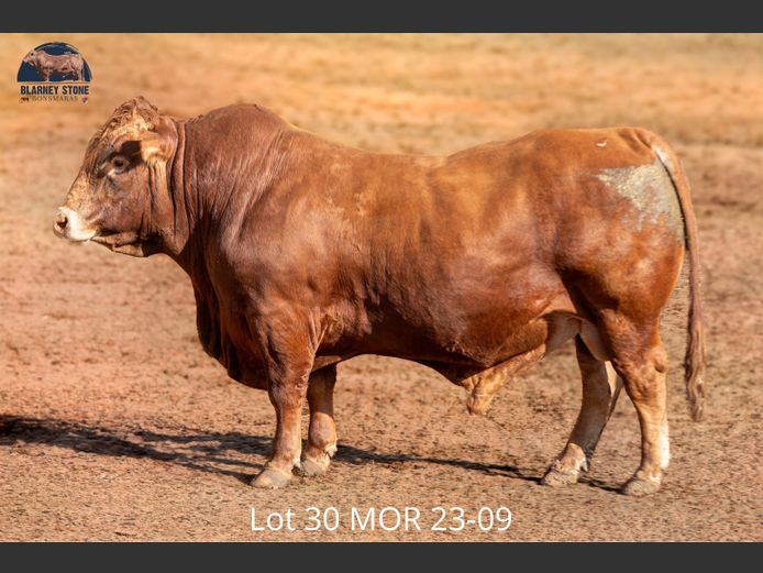 MOR 230009 | MOORE FARMING TRUST 