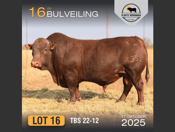 TBS 220012 | THABA KWENA BONSMARAS