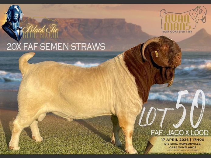 Semen Straws (Generic Lot - Faf 762 21-81) | Ruan Mans Boerbokstoet