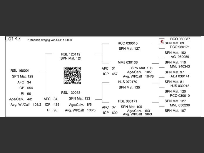 RSL 160001