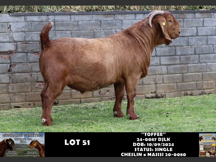 24-0087 DJLK | DIRK LOUW