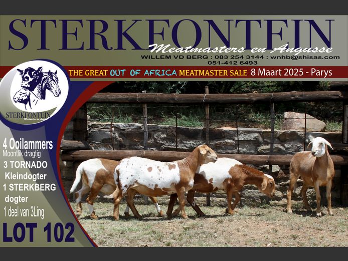 SM 25 549 | Willem vd Berg - STERKFONTEIN MEATMASTERS, Wepener