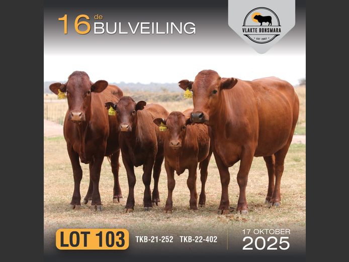 Commercial Animals | TKB BONSMARAS