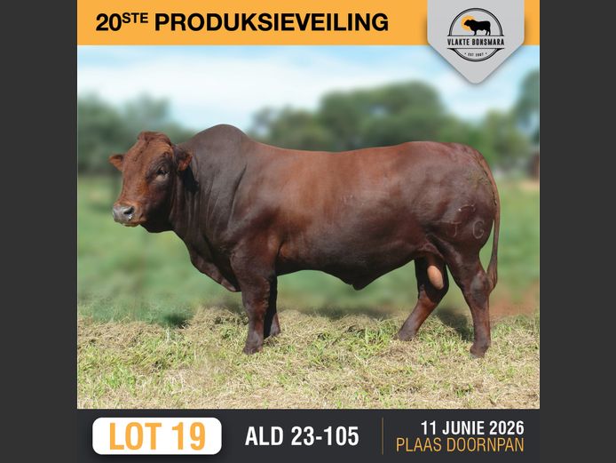 ALD230105 | ALDIGO BONSMARAS