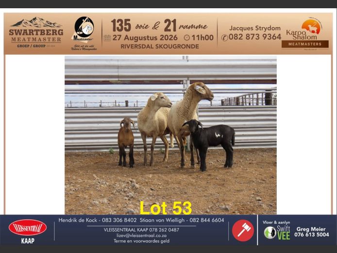 B25.121 | KAROO SHALOM