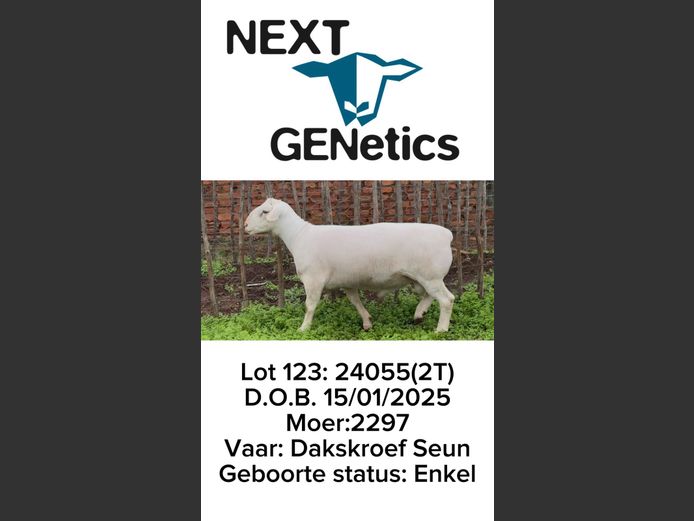 24055 | NEXT GENETICS
