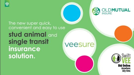 VeeSure