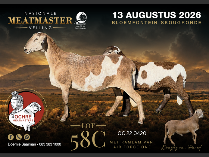 OC 22 0420 | Ochre Meatmasters