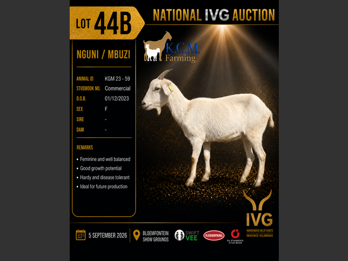 KGM 23-59 | KGM LIVESTOCK