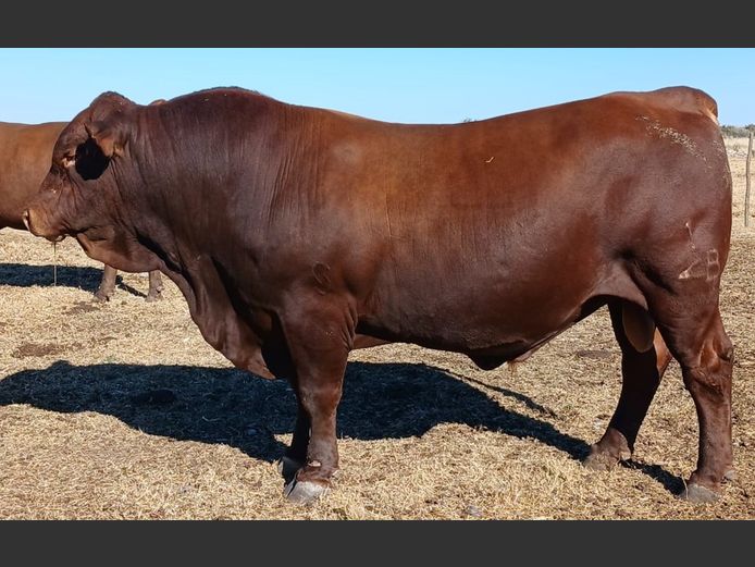 AB 210035 | CCR BEEF (PTY) LTD
