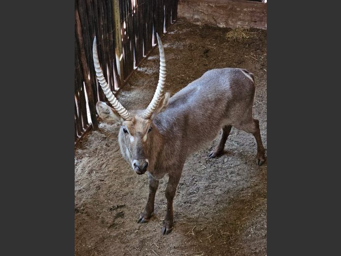 WATERBUCK | UNICO PROJECTS