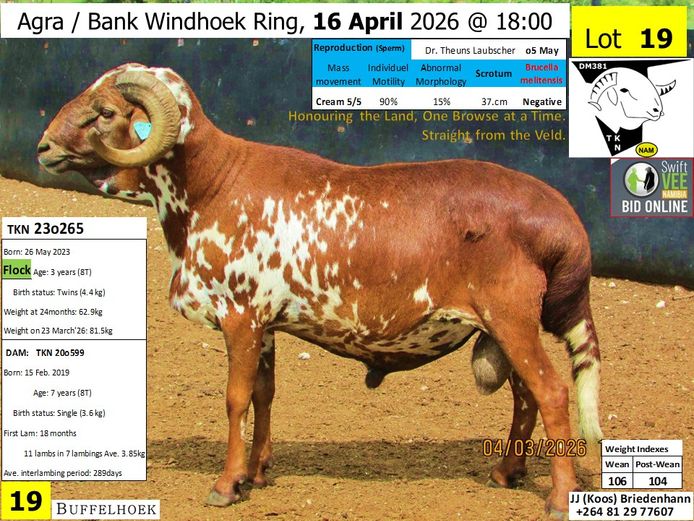 TKN 23o265 | KOOS BRIEDENHANN