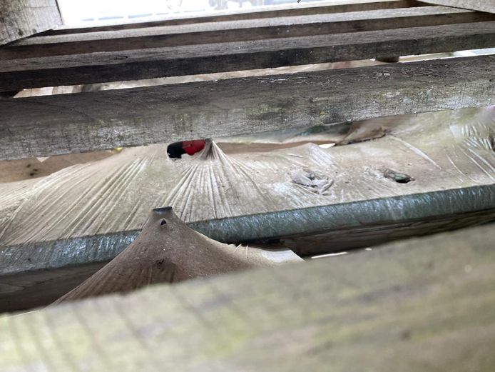 IMEP AVALANCHE 14/2000 E