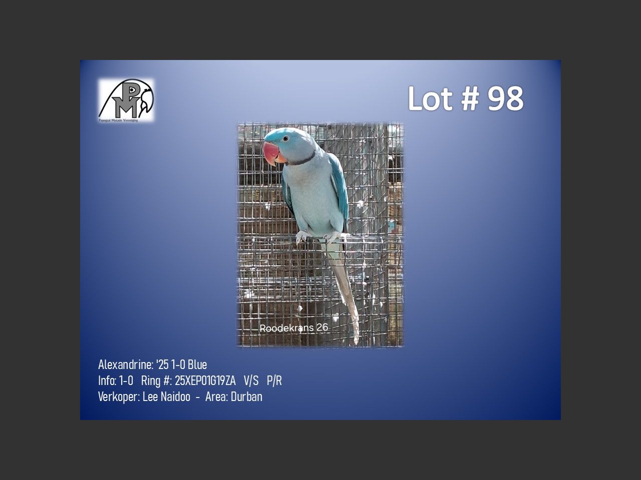 images