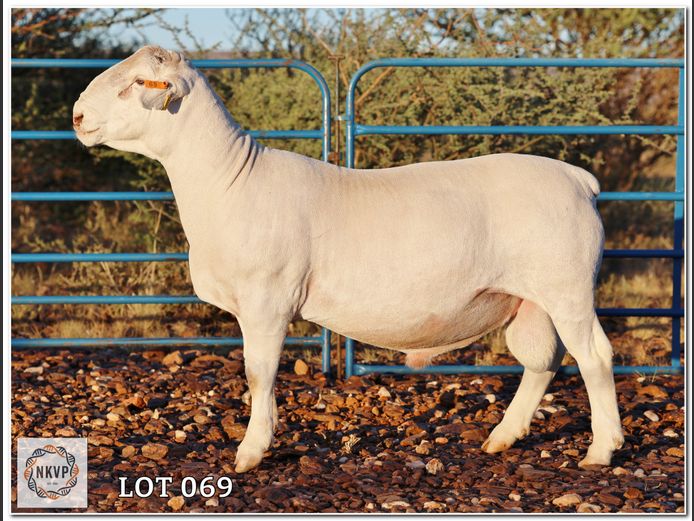 2310 24 0251W | J.J. HUMAN