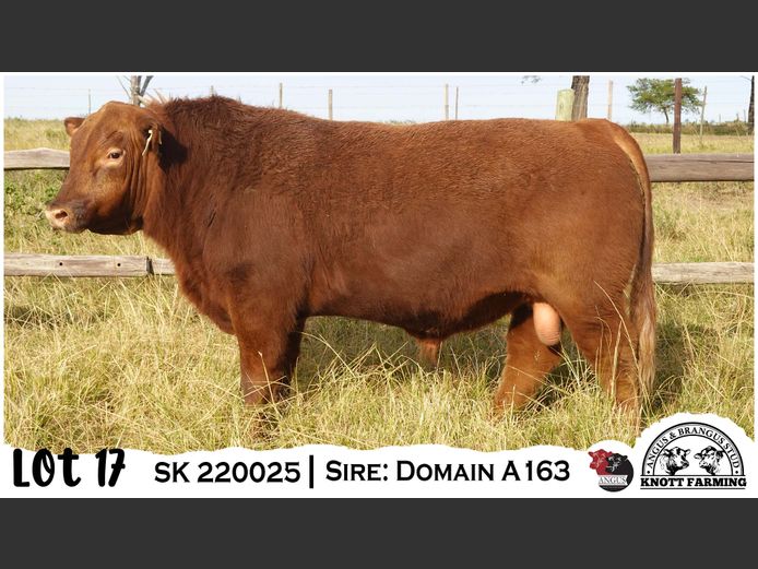 SK 220025