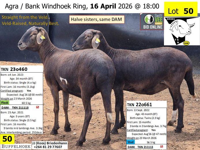 230460 TKN | 220661 TKN | KOOS BRIEDENHANN