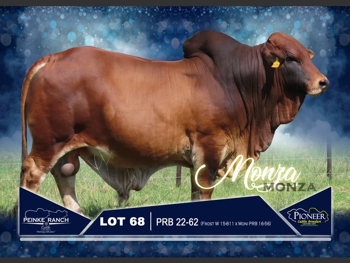 PRB 220062 | PEINKE RANCH