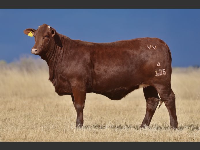 VV  240125 | T. DE JAGER