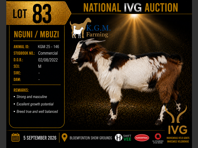 KGM 25-146 | KGM LIVESTOCK