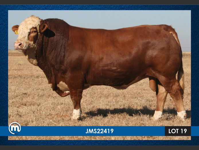 JMS22419