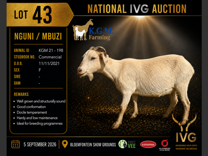 KGM 21-198 | KGM LIVESTOCK