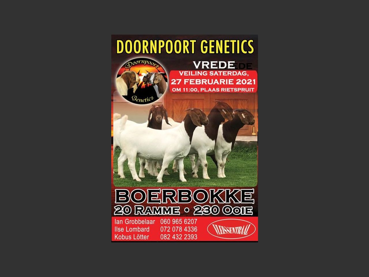 poster