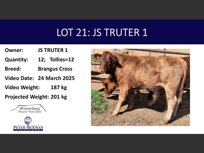 Weaners | JS TRUTER 1