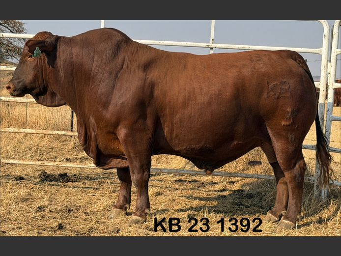 KB231392