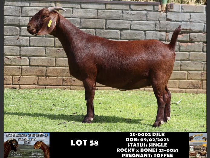 23-0002 DJLK | DIRK LOUW