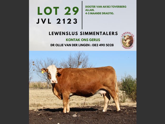 JVL2123 | DR JSH VAN DER LINGEN