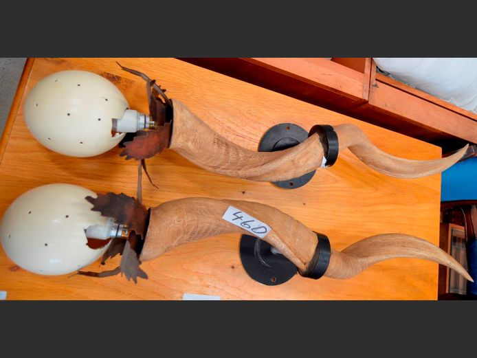 PAIR FAUX KUDU HORN WALL MOUNT LIGHTS WITH OSTRICH EGG SHELL SHADE, Average length = 75cm [Shades cracked]