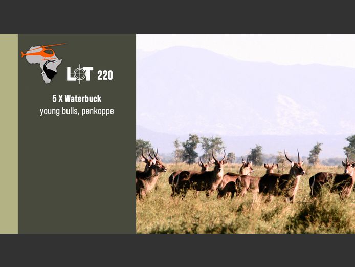 Waterbuck
