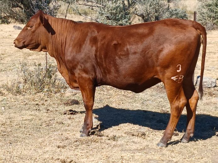 AB 230150 | CCR BEEF (PTY) LTD