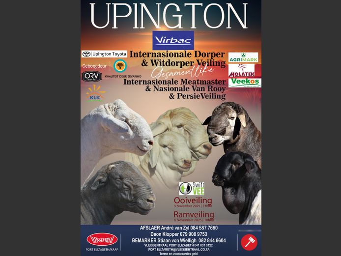 INTERNASIONALE DORPER EN WITDORPER VEILING, GESAMENTLIK INTERNASIONALE MEATMASTER & NASIONALE VAN ROOY & PERSIE VEILING