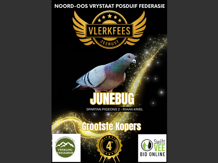 JUNEBUG | SPARTAN PIGEONS 2 - RIAAN KRIEL