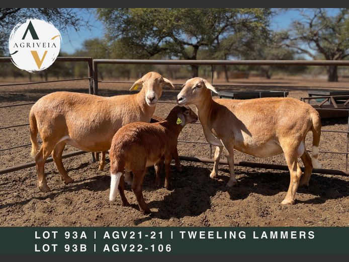 AGV 22 106 | AANGETEKEN | Christo Carstens - Agriveia Meatmasters