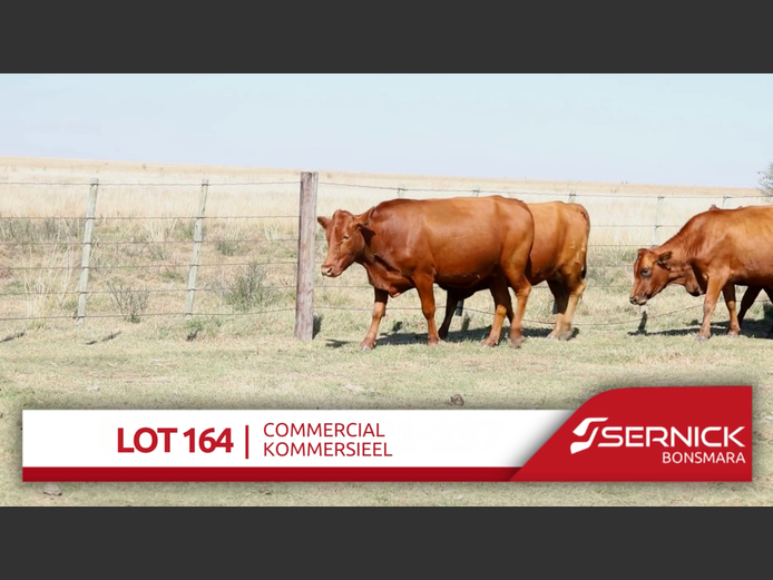 Commercial Animals