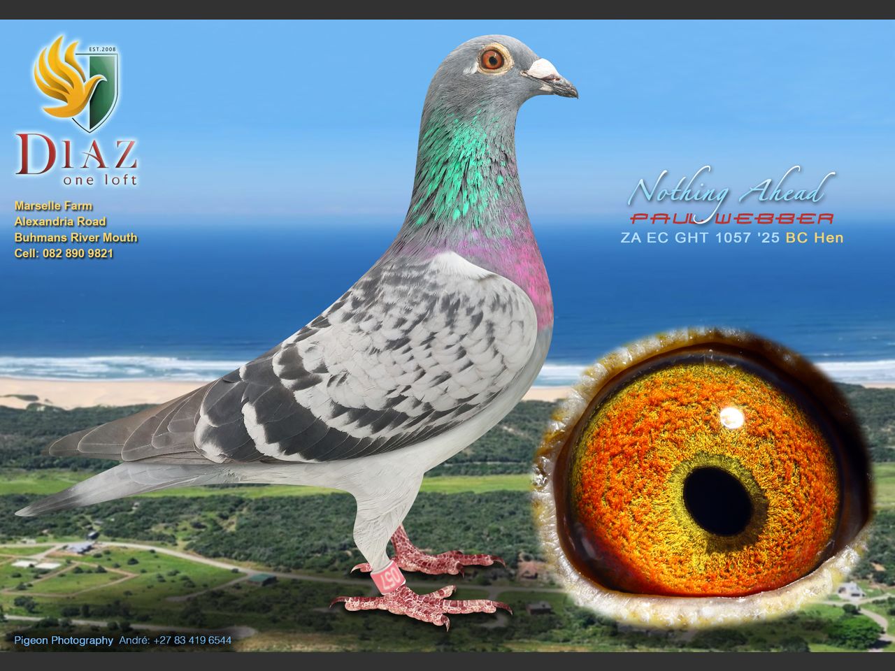 images