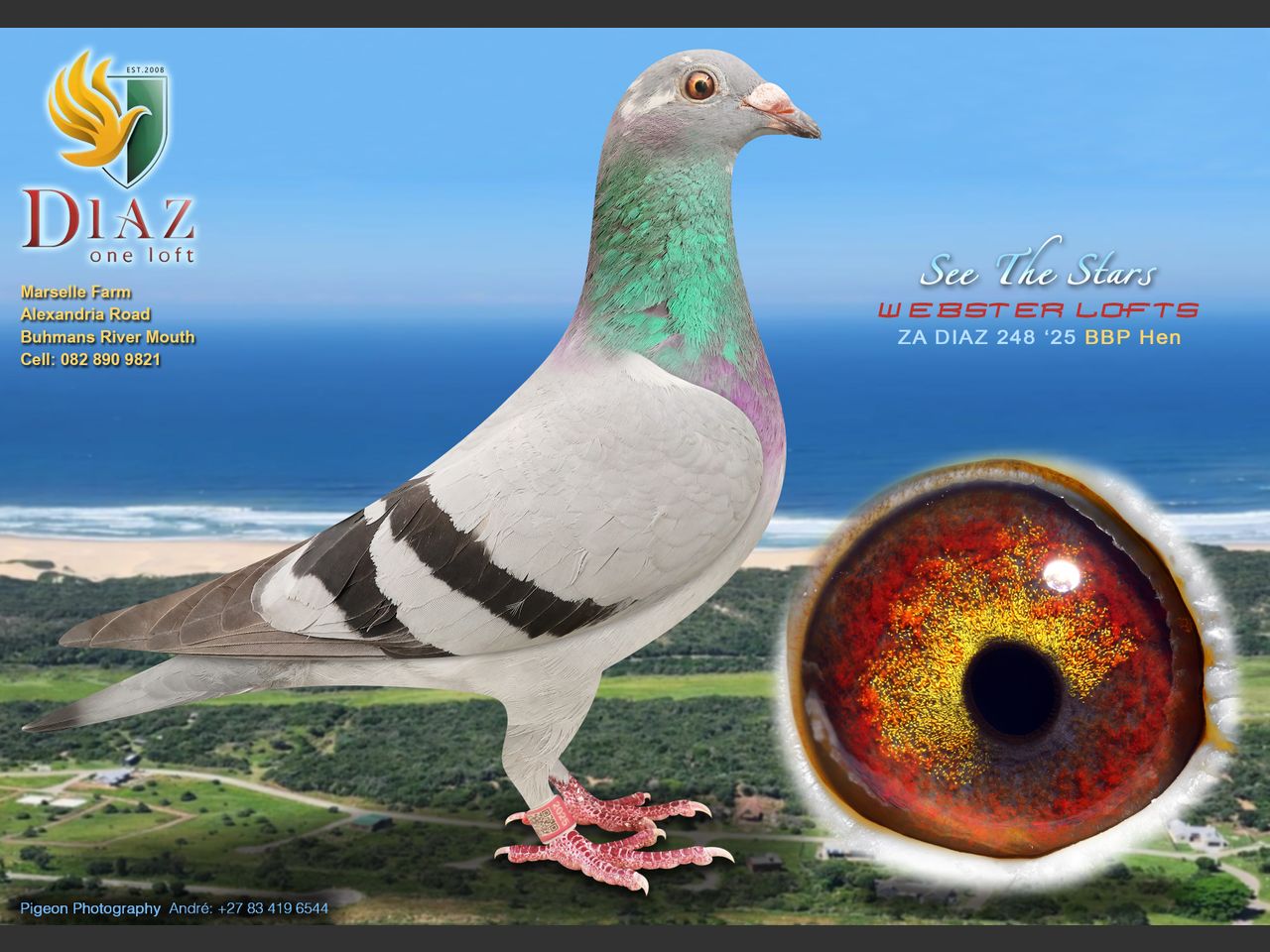 images