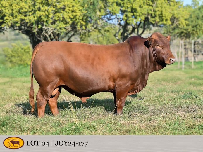 JOY240177 | FETTING LIVESTOCK TRUST