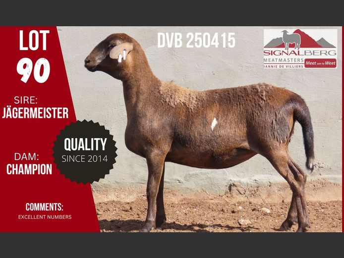 DVB 250415 | SIGNALBERG MEATMASTERS