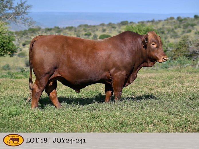 JOY240241 | FETTING LIVESTOCK TRUST