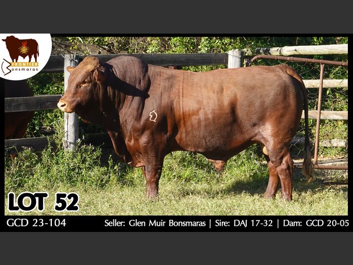 GCD 230104 | GLEN MUIR BONSMARAS