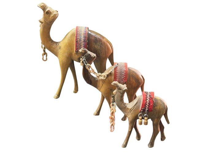 Set of 3 Israeli Olivewood Camels of Size