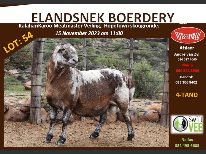 RSL PE112 | ELANDSNEK BOERDERY