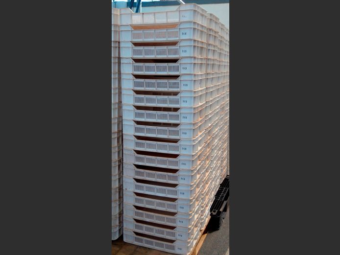 LOT OF 16: PLASTIC FRUIT CRATES