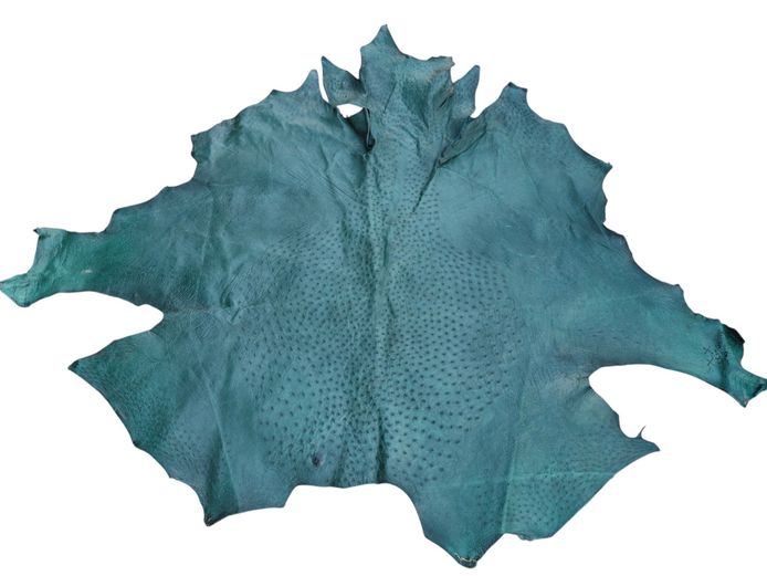 Genuine Green Ostrich Leather Game Hide Skin