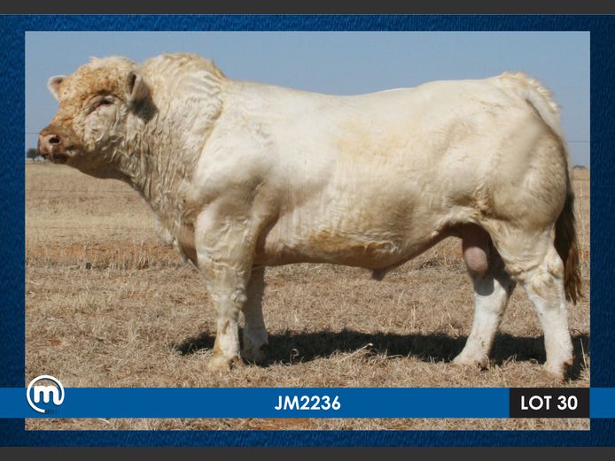 JM 220036